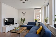 Jarigsmastins 15-20.jpg
